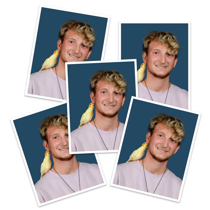 5 wallet sized school photos of young man with a bird on his shoulder.